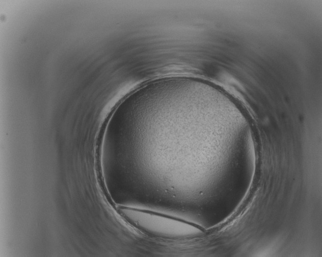 X0000068831333200605121331