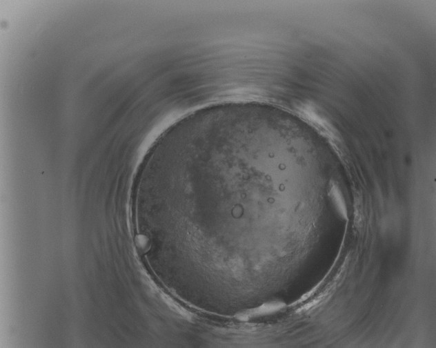 X0000068831334200605121331