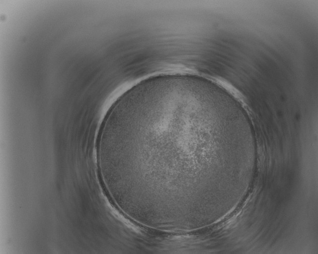 X0000068831335200605121331