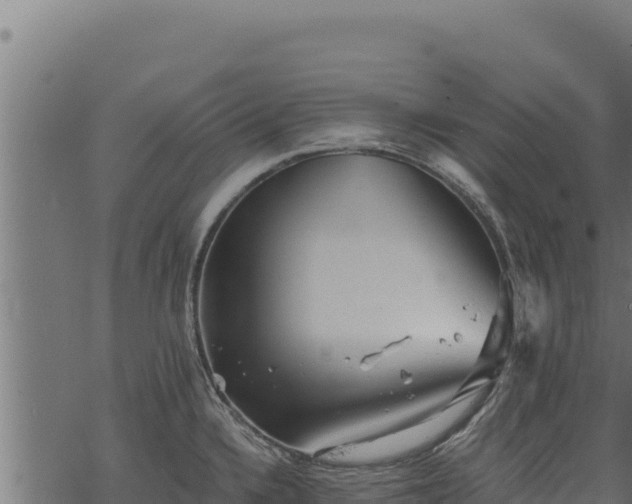 X0000068831336200605121331