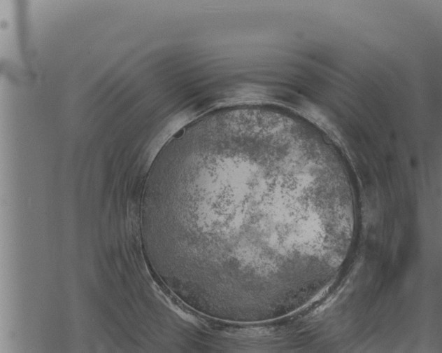 X0000068831337200605121331