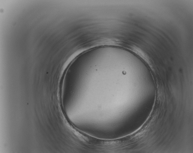 X0000068831339200605121331