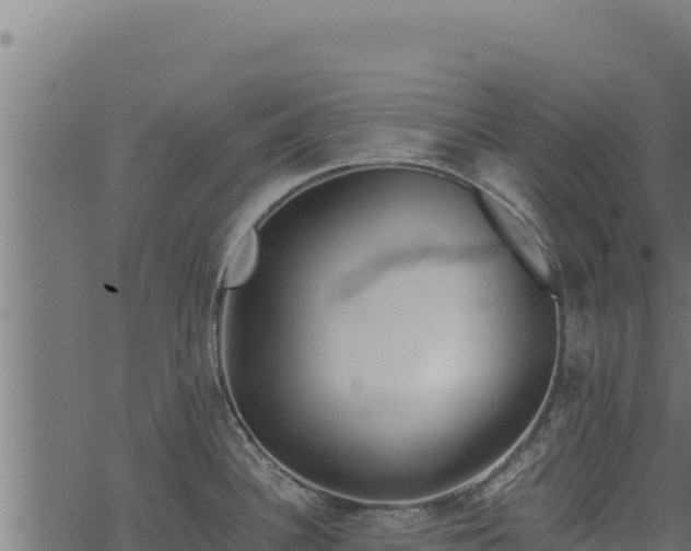 X0000068831340200605121331