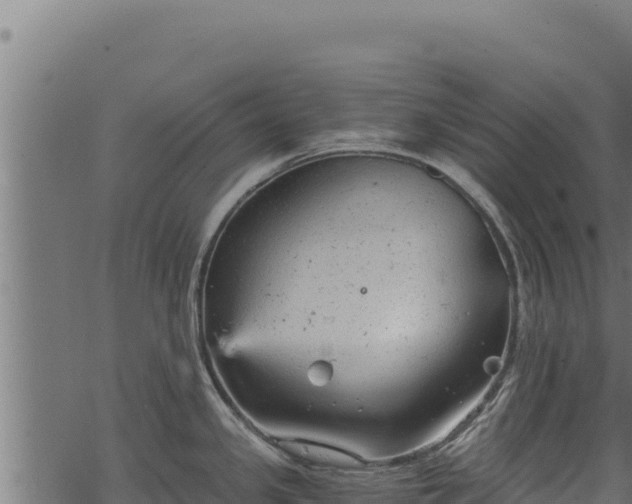 X0000068831341200605121331