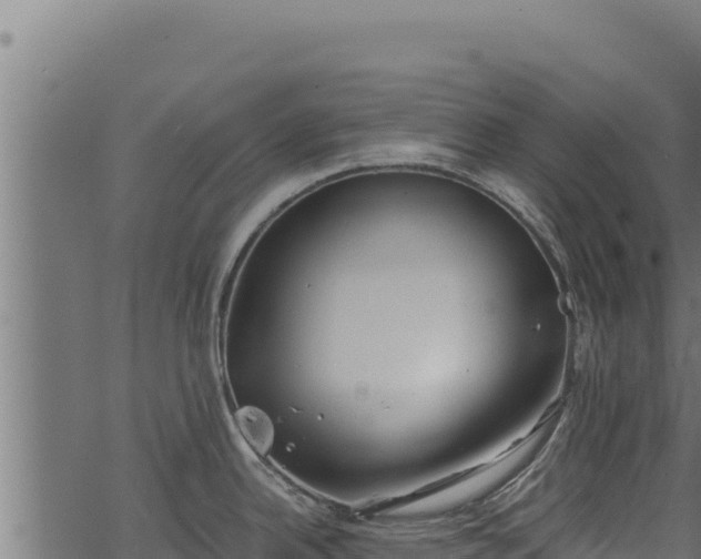 X0000068831342200605121331