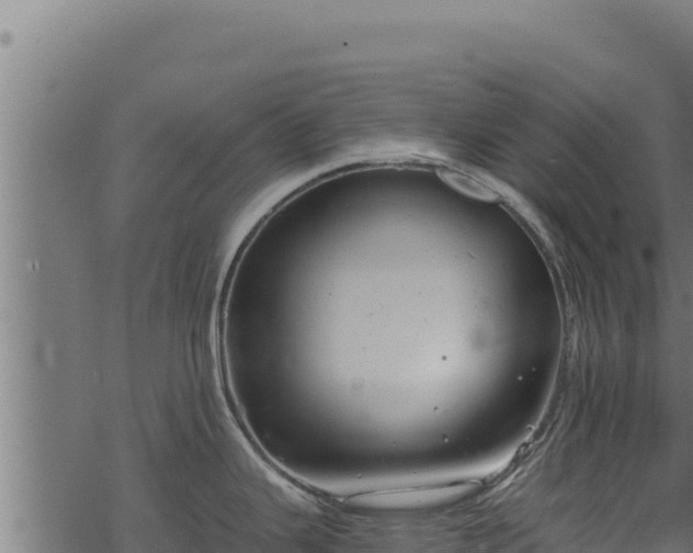 X0000068831343200605121331