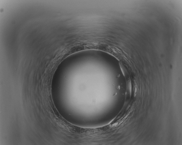 X0000068831345200605121331