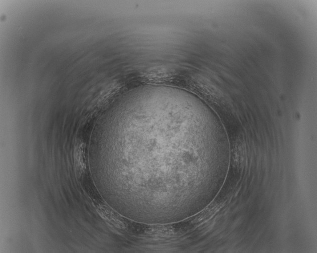 X0000068831346200605121331