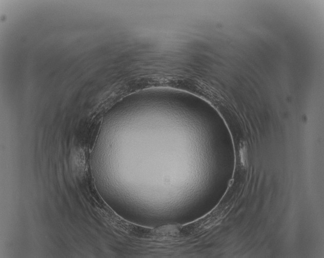 X0000068831347200605121331