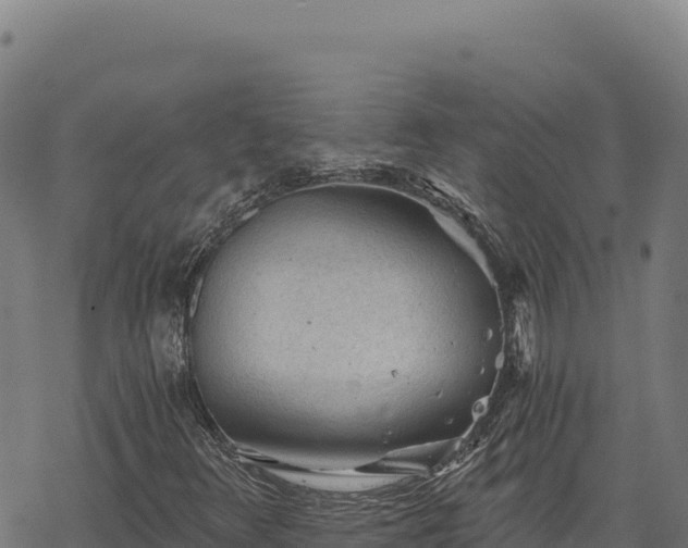 X0000068831348200605121331