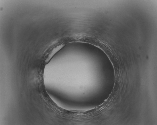 X0000068831349200605121331