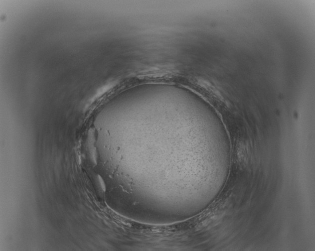 X0000068831350200605121331