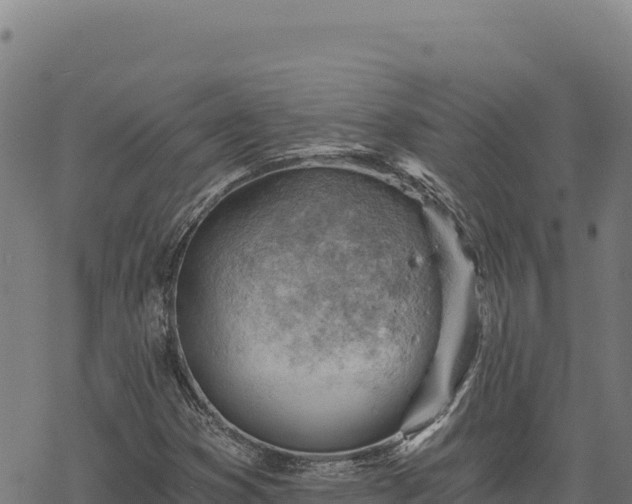 X0000068831353200605121330