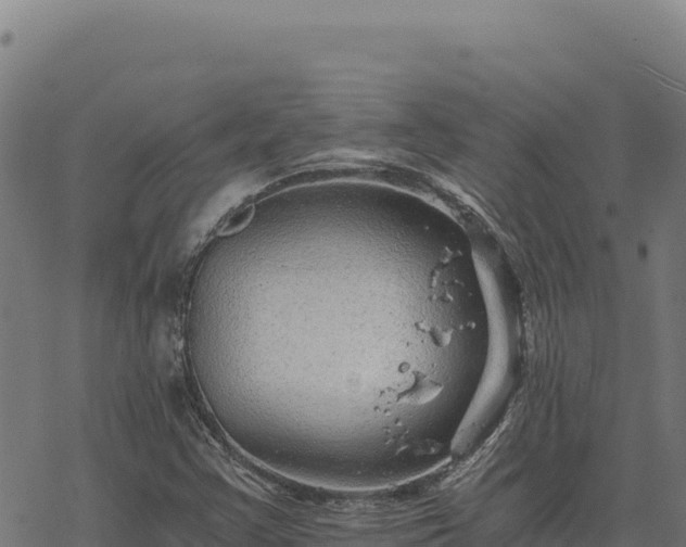 X0000068831355200605121330