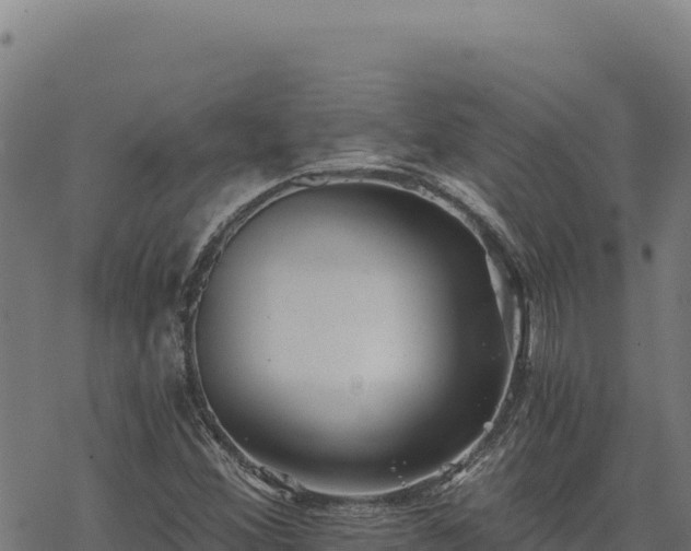 X0000068831356200605121330