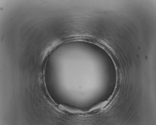 X0000068831357200605121330