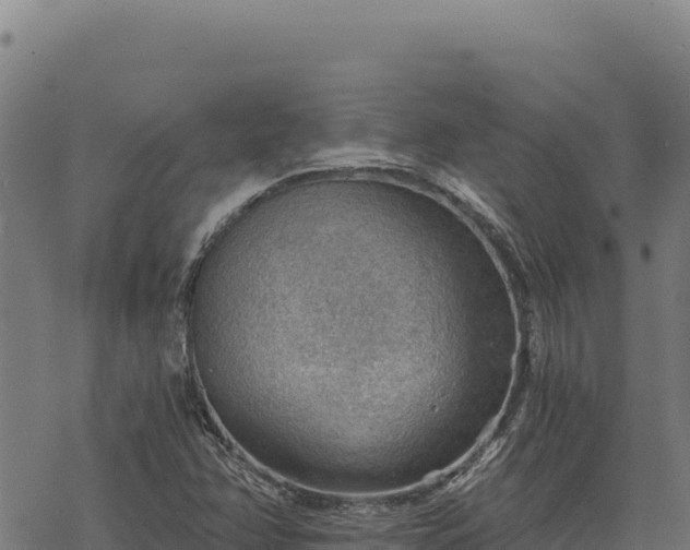 X0000068831358200605121330