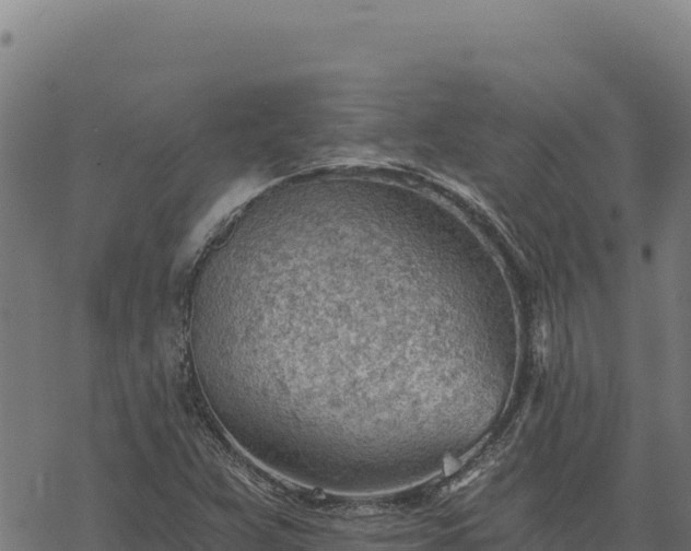 X0000068831359200605121330