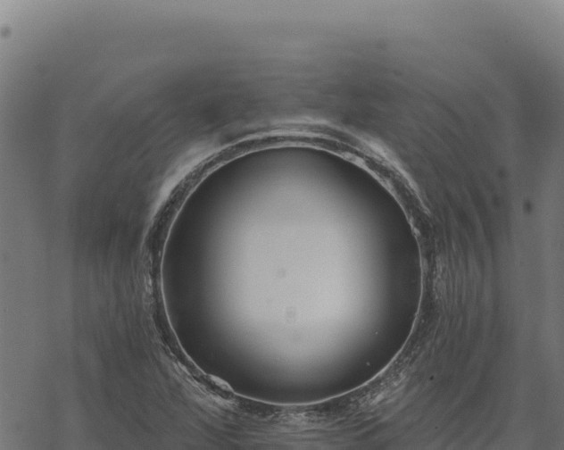 X0000068831360200605121330