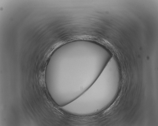 X0000068831361200605121330