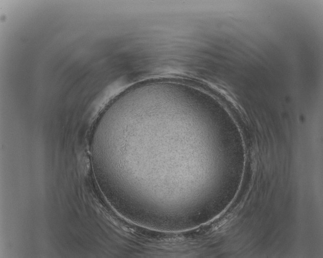 X0000068831363200605121330