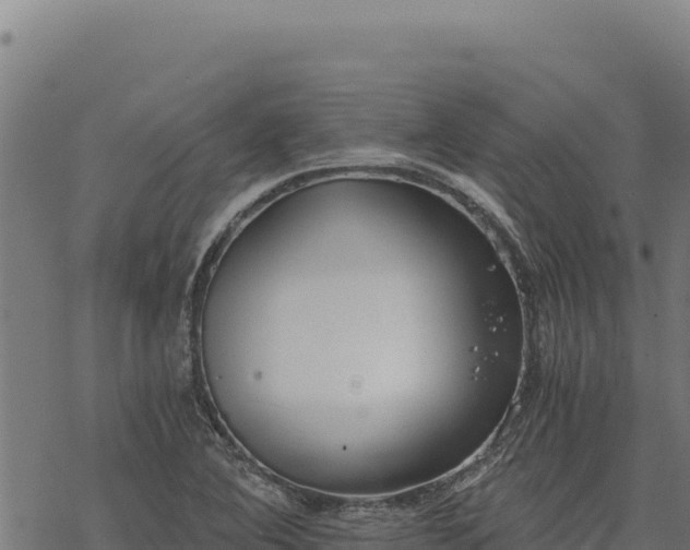 X0000068831364200605121330