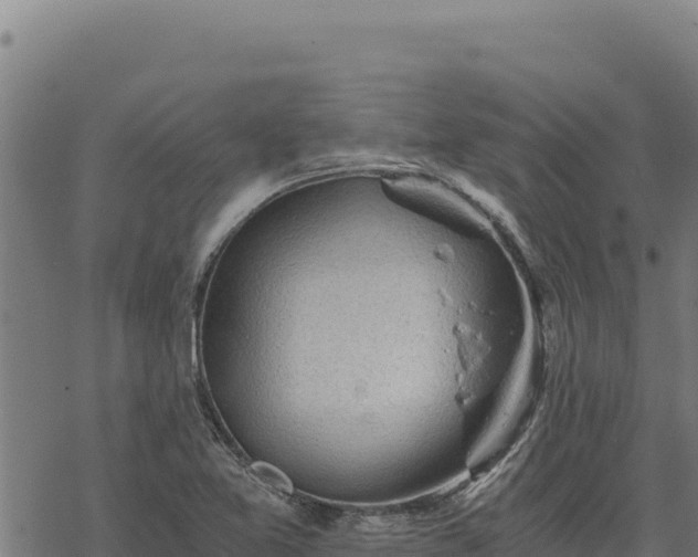 X0000068831365200605121330