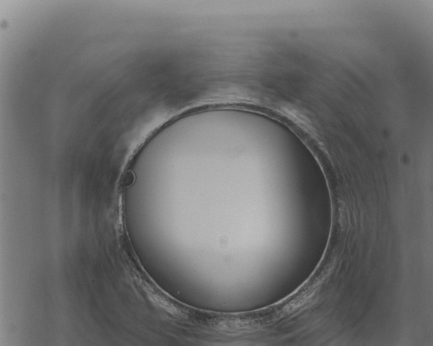 X0000068831366200605121330