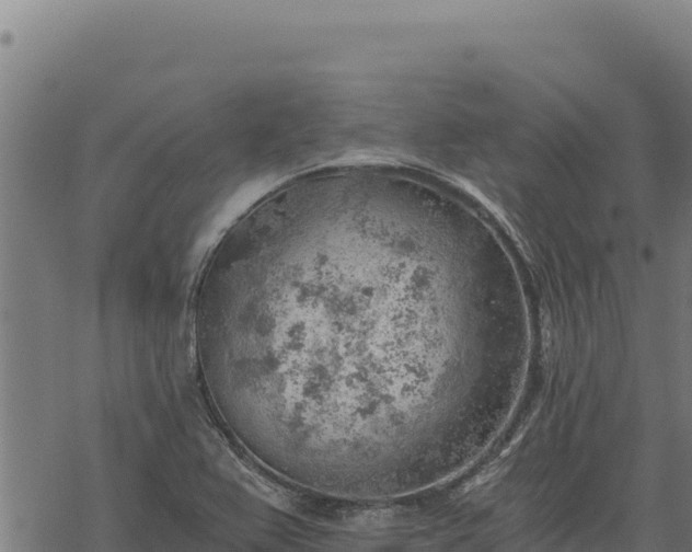 X0000068831367200605121330