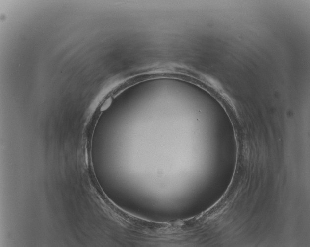 X0000068831368200605121330