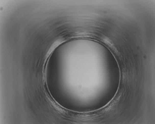 X0000068831370200605121330