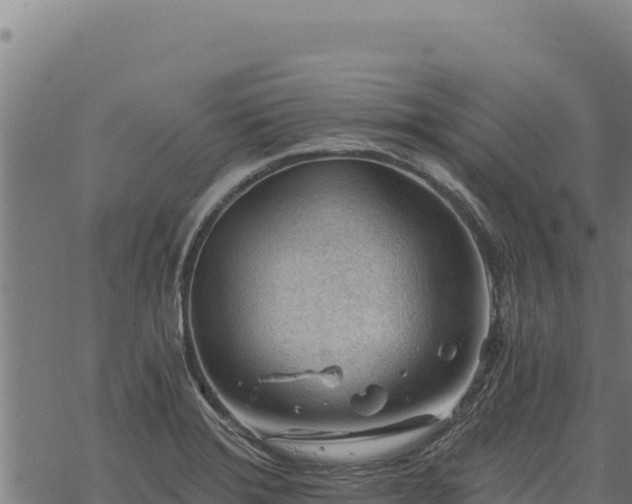 X0000068831372200605121330