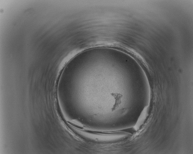 X0000068831373200605121330