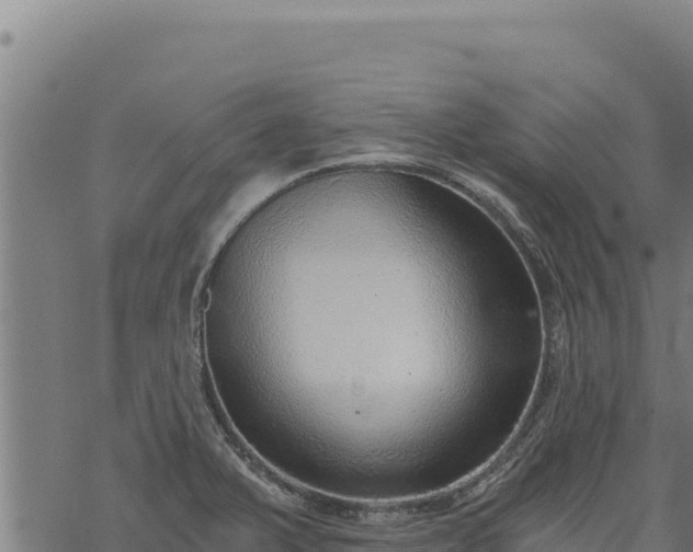 X0000068831375200605121330