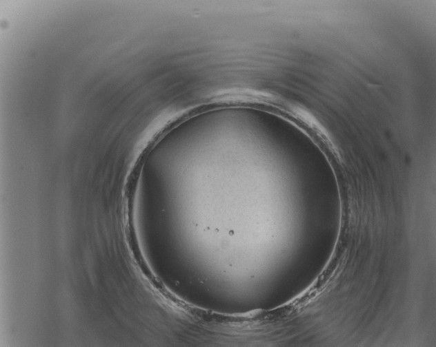 X0000068831376200605121330