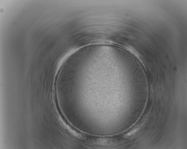 X0000068831379200605121330