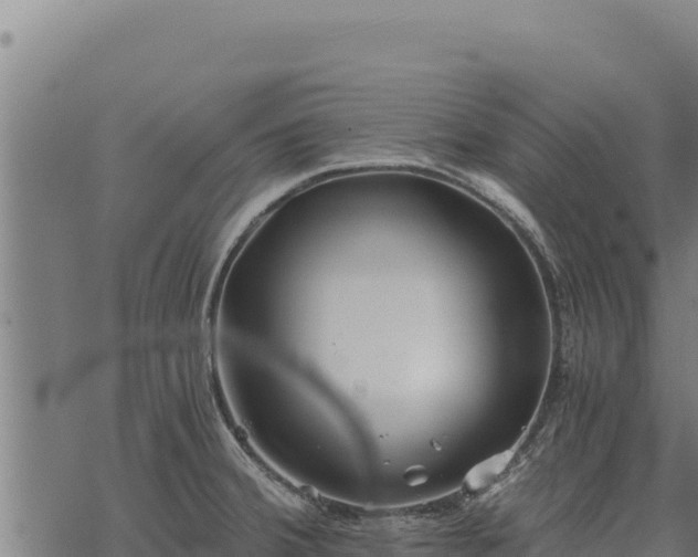 X0000068831380200605121330