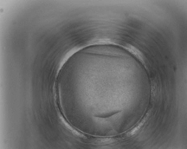 X0000068831382200605121330