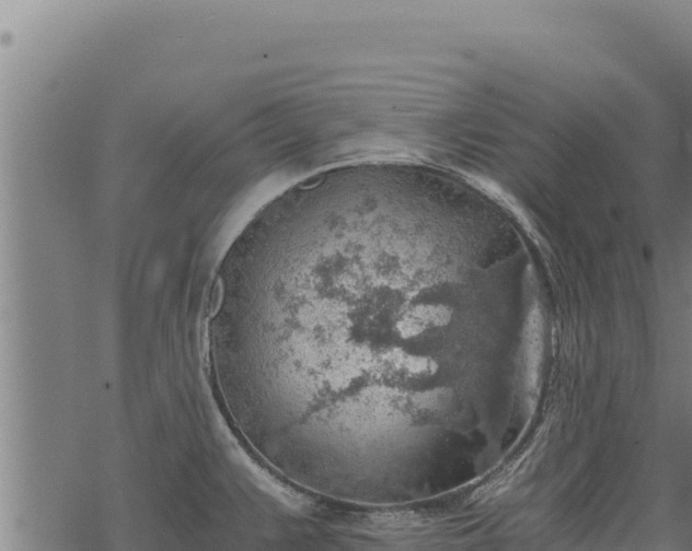 X0000068831383200605121330