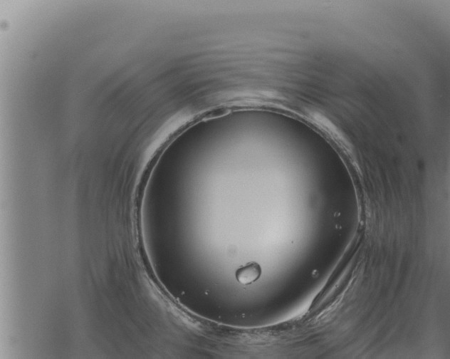 X0000068831384200605121330