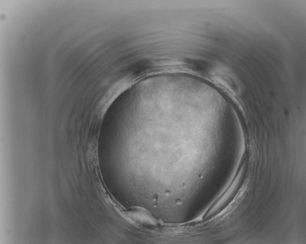 X0000068831385200605121330