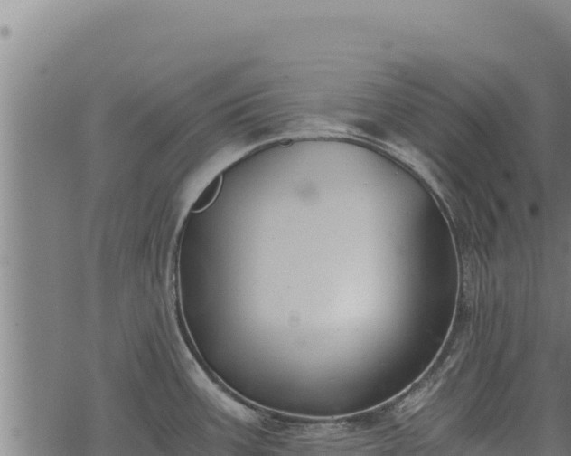 X0000068831387200605121330