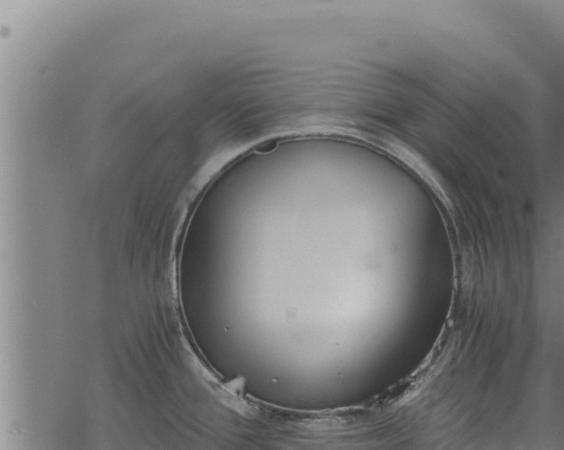 X0000068831388200605121330