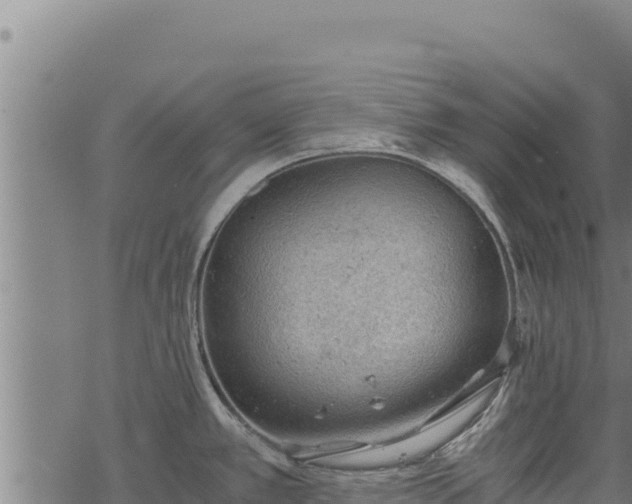 X0000068831389200605121330