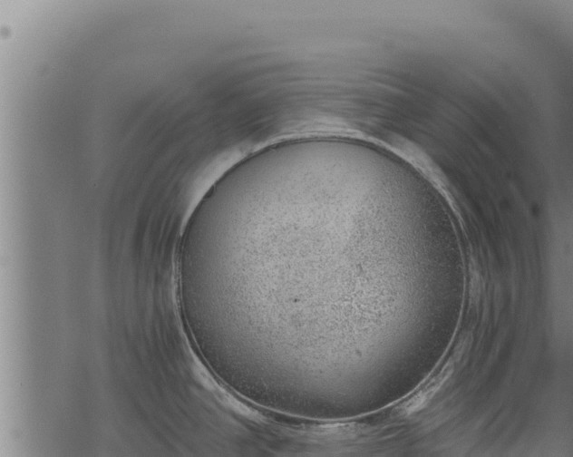 X0000068831390200605121330