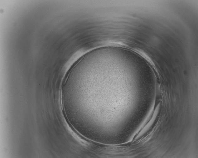 X0000068831391200605121330