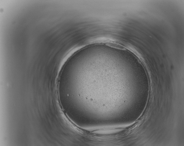 X0000068831392200605121330