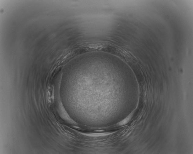 X0000068831394200605121329