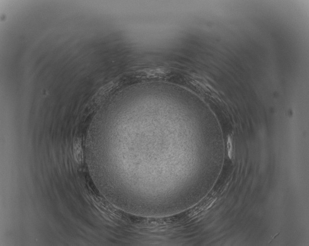 X0000068831395200605121329