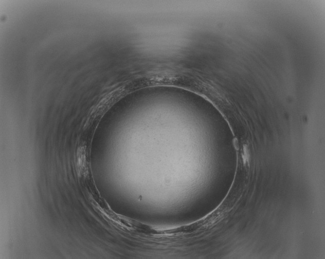 X0000068831396200605121329